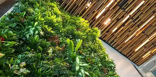 Biofil design - otthonodban a természet