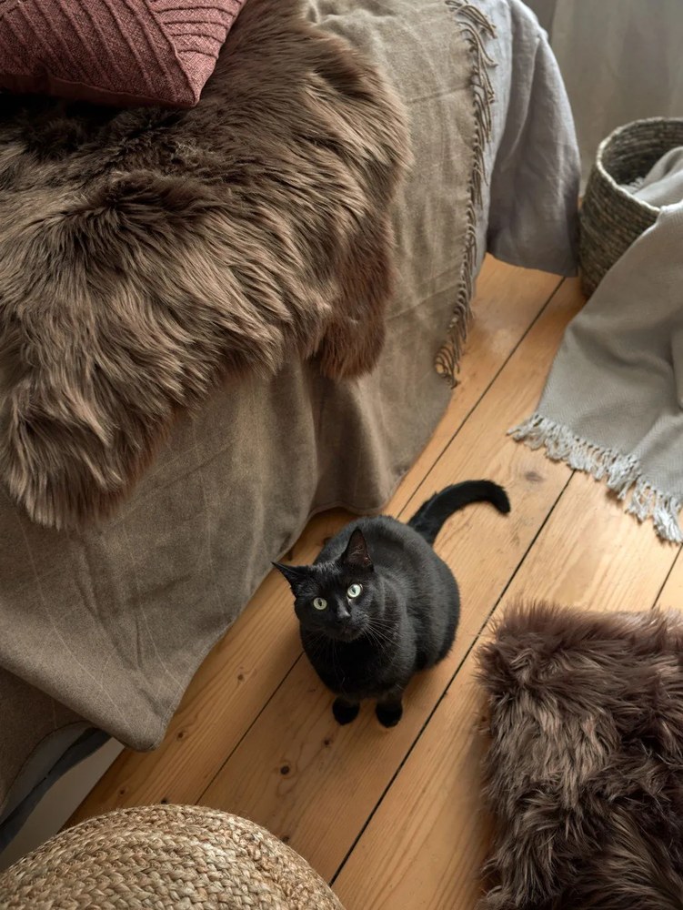 Fox barna műszőrme, 50 x 80 cm - Tiseco Home Studio