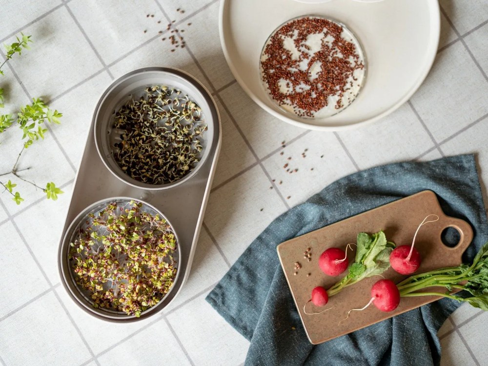 Malia 12 db-os krémszínű agyagkerámia étkészlet - Bonami selection