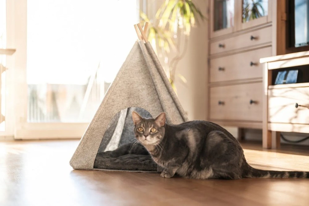 Világosszürke teepee sátor kisállatoknak - Wenko