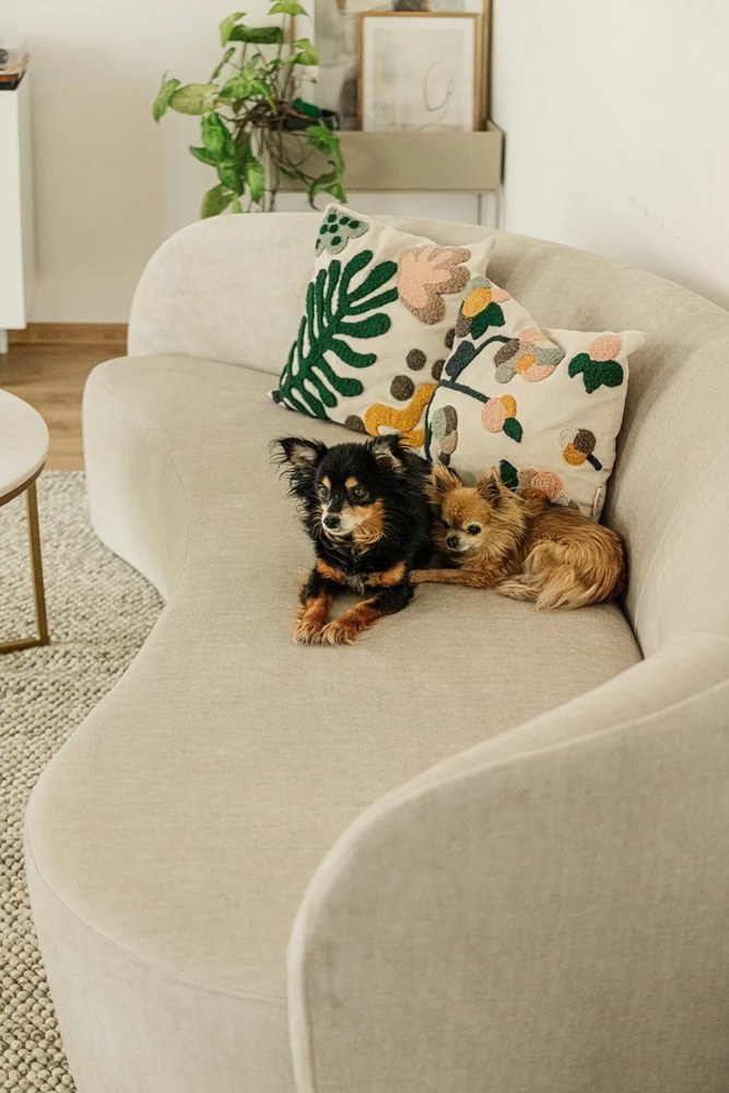 Alisma fehér kerek dohányzóasztal, ⌀ 80 cm - Actona