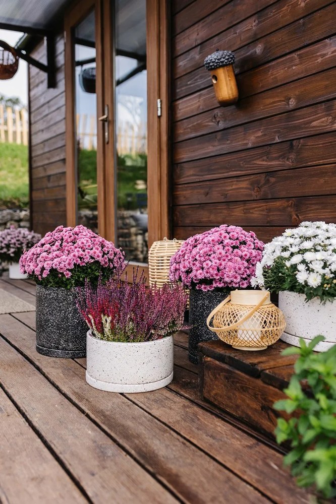 Madárodú - Esschert Design