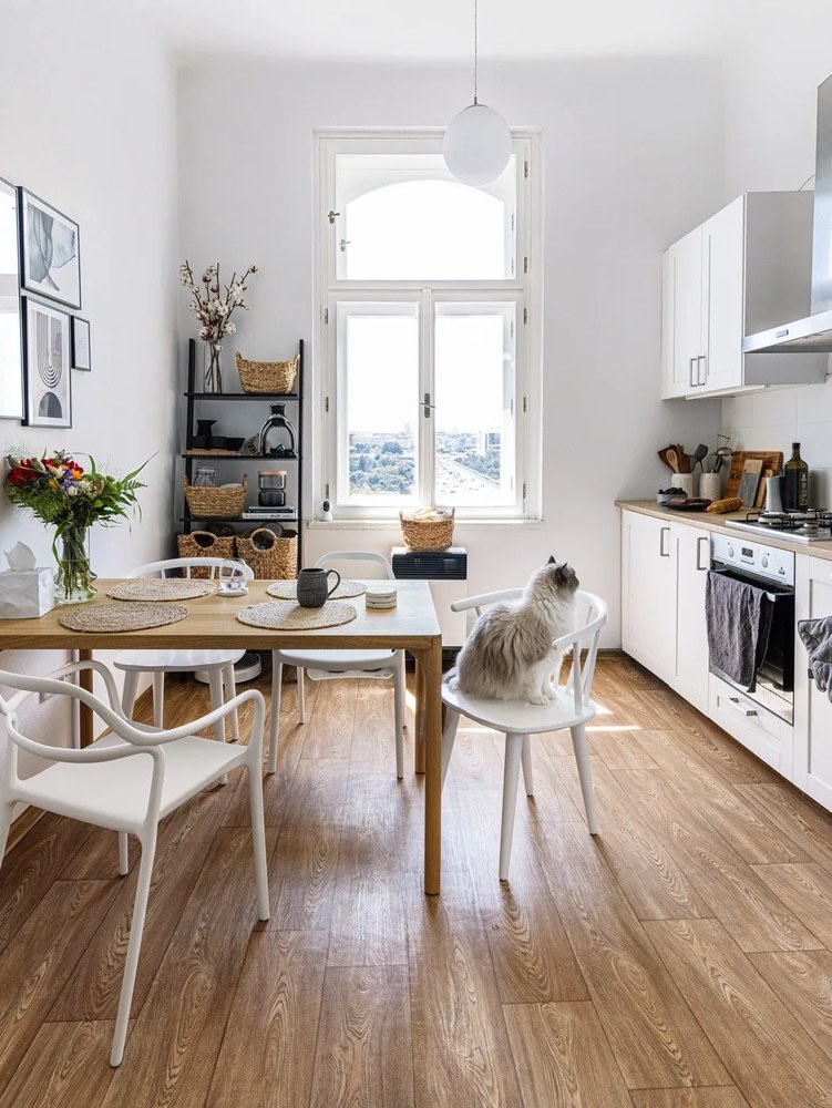 Dali Chaur 2 db fehér étkezőszék - Bonami Selection