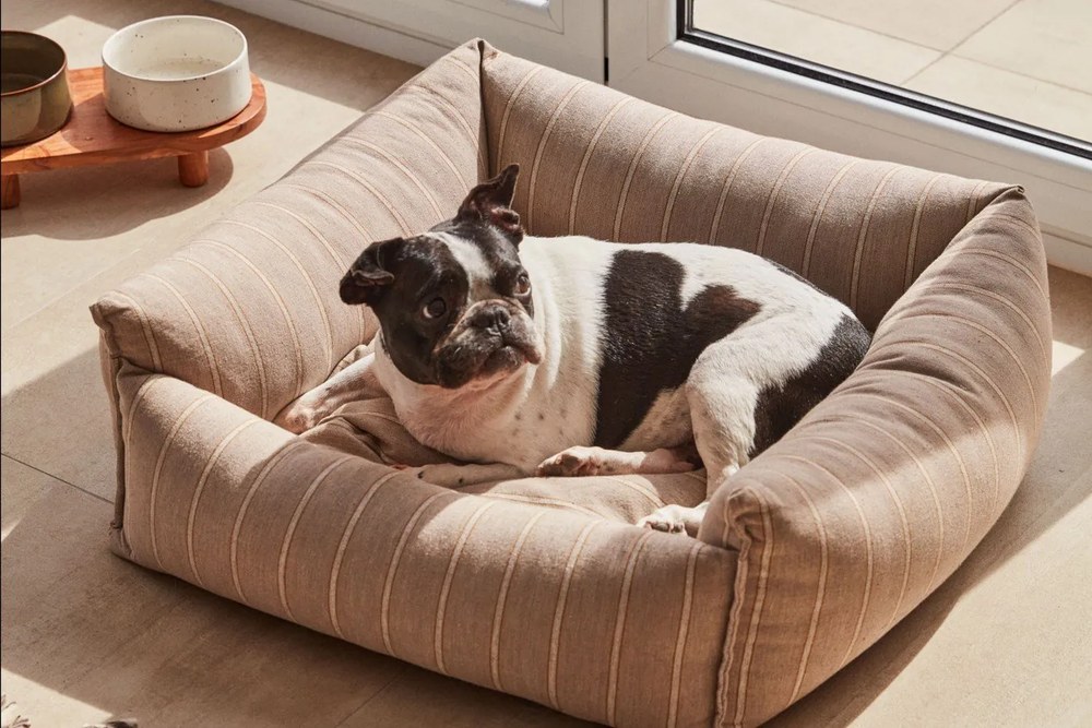 Kerámia kutyatálka szett 2 db-os Dumbi - Kave Home