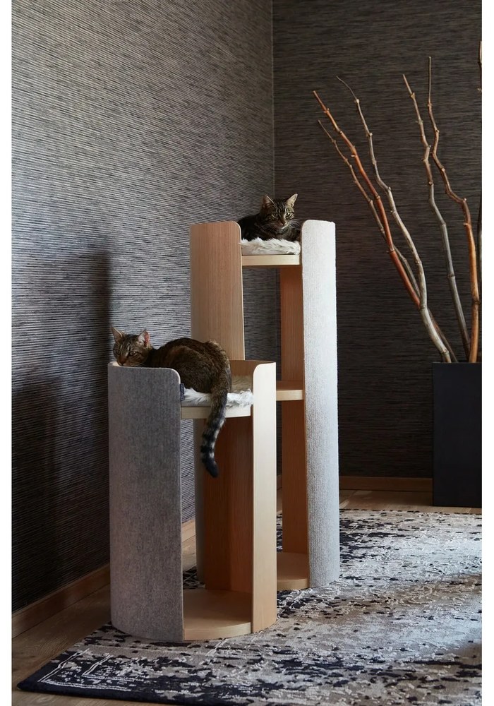 Kaparófa Torre Ash Natural M – MiaCara