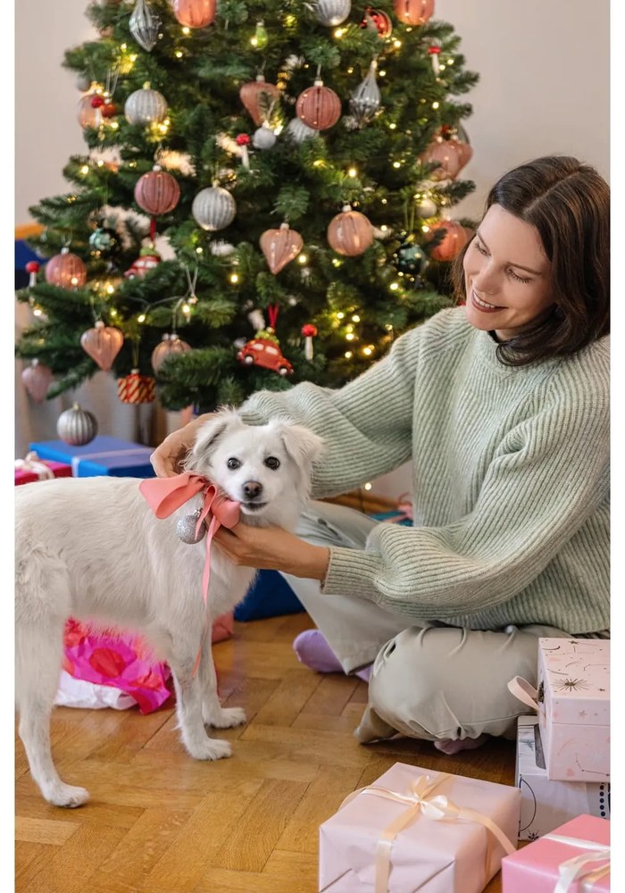 Üveg kézzel fújt karácsonyfadísz készlet 3 db-os ø 8 cm – Ego Dekor