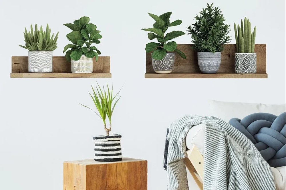 Falmatrica 60x35 cm 3D effect Green Plants – Ambiance