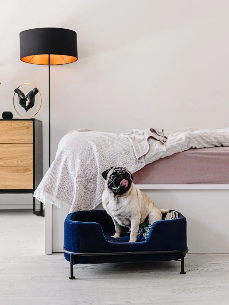 Fekete-natúr színű alacsony komód tölgyfa dekorral 120x82 cm Seaford – Actona