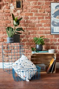 Illatos szójaviasz gyertya égési idő 25 ó Fraga: Royal Leather – Blomus