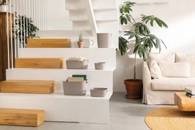 Műanyag tárolókosár szett 2 db-os 26x19x11 cm Softex – Curver