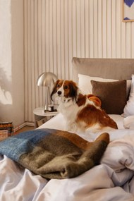 Díszpárna 60x60 cm Dolly - Tiseco Home Studio