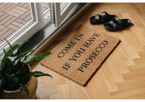 Kókuszrost lábtörlő 40x60 cm Prosecco – Artsy Doormats