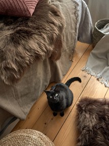 Fox barna műszőrme, 50 x 80 cm - Tiseco Home Studio