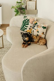 Alisma fehér kerek dohányzóasztal, ⌀ 80 cm - Actona