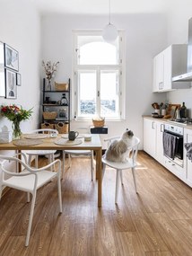 Dali Chaur 2 db fehér étkezőszék - Bonami Selection