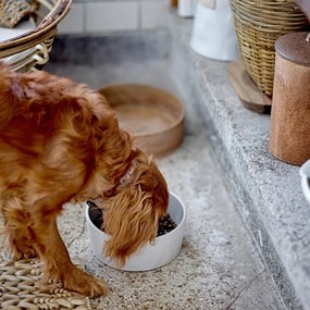 Agyagkerámia tálka kutyáknak ø 21,5 cm Buddy – Bloomingville
