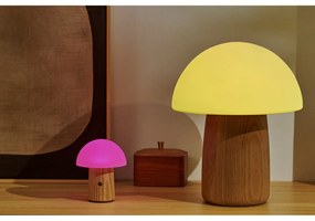 Natúr színű szabályozható asztali lámpa üveg búrával (magasság 13 cm) Alice – Gingko