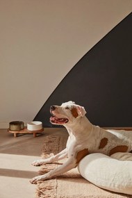 Kerámia kutyatálka szett 2 db-os Dumbi - Kave Home