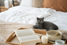 Malia 18 db-os krémszínű agyagkerámia étkészlet - Bonami selection