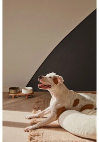 Kerámia kutyatálka szett 2 db-os Dumbi - Kave Home