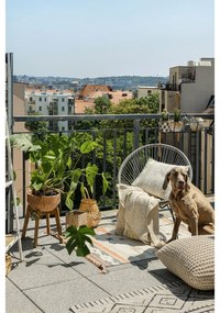 Avocado szürke kerti szék mesterséges rattanból - Bonami Selection