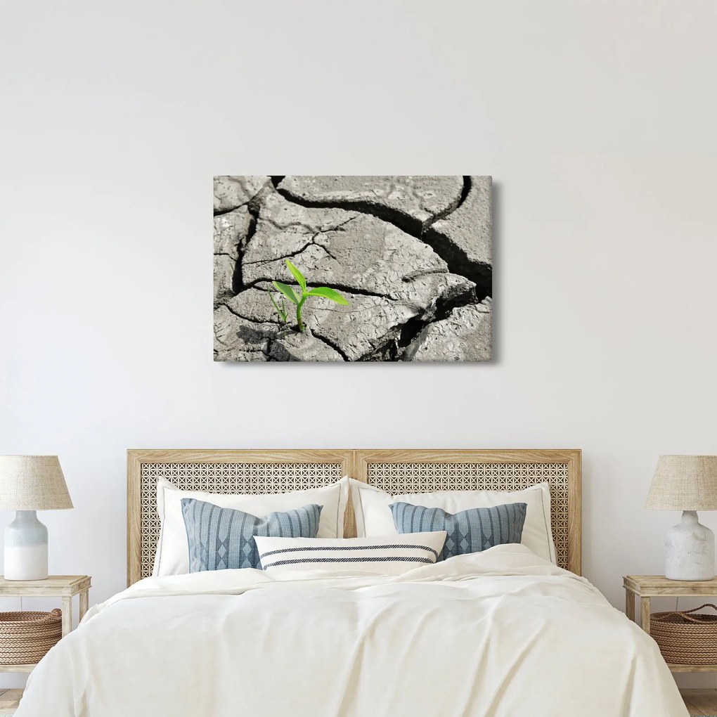 Kép - Repedések (90x60 cm)