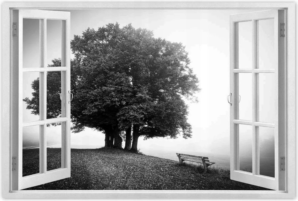 Poszterek 60x40 Tájkép szürke Bw