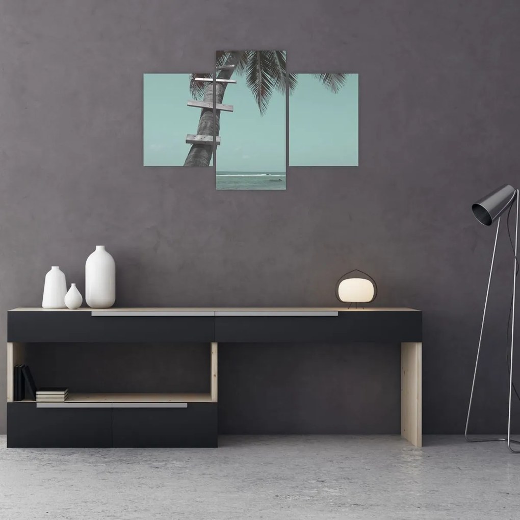 Kép - Palma a Karib-tengeren (90x60 cm)