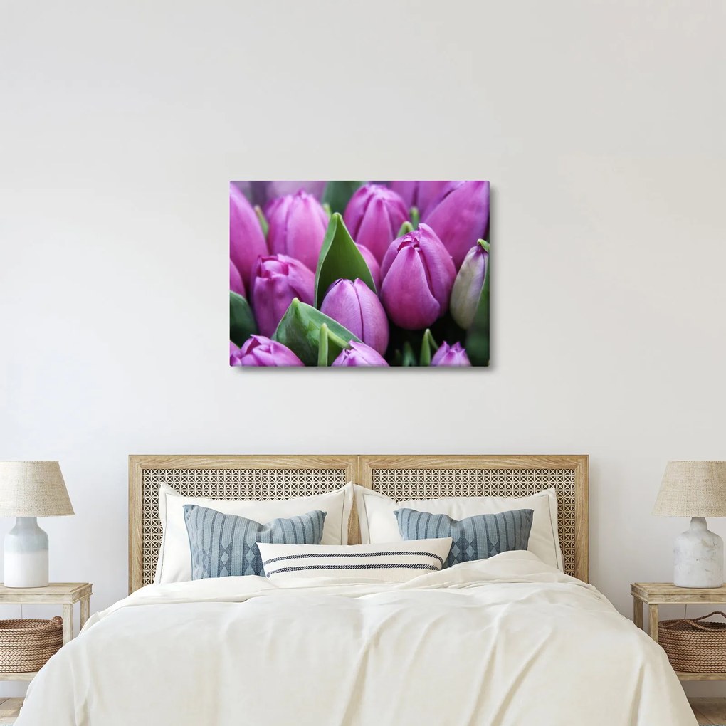 Kép - tulipánok (70x50 cm)