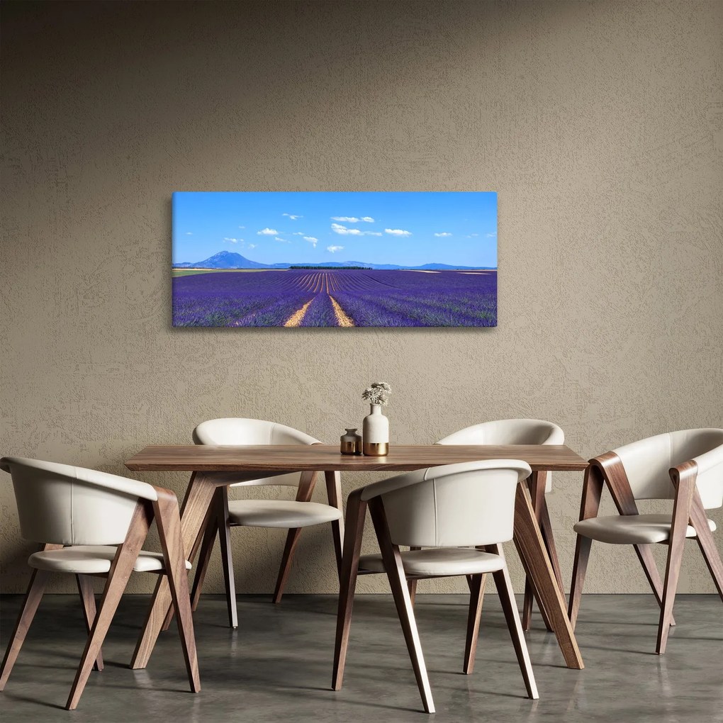 Kép - Levendula mező (120x50 cm)