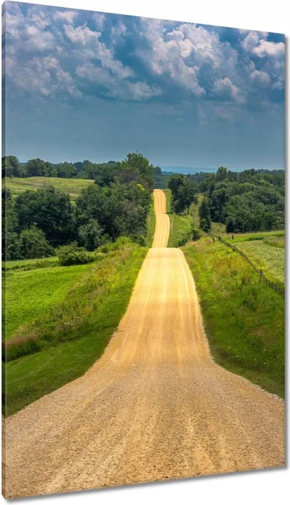 Vászonkép 80x120 Út Rét Mező Erdő