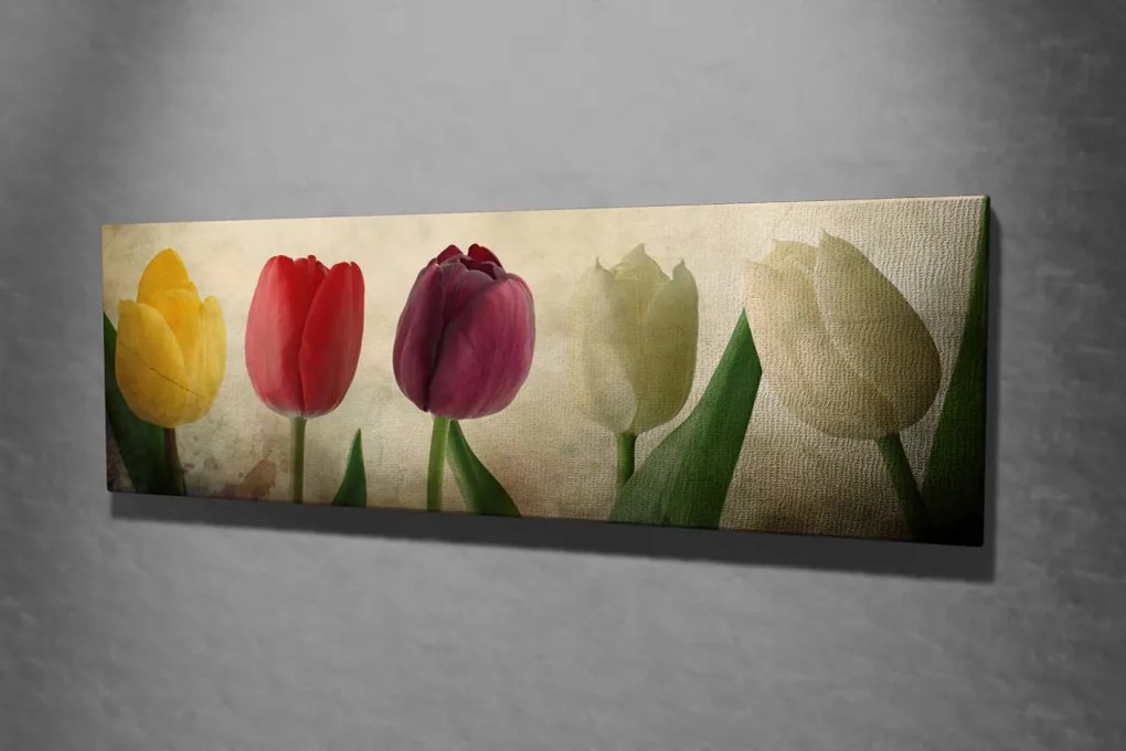 PC147 vászonkép, 30 x 80 cm
