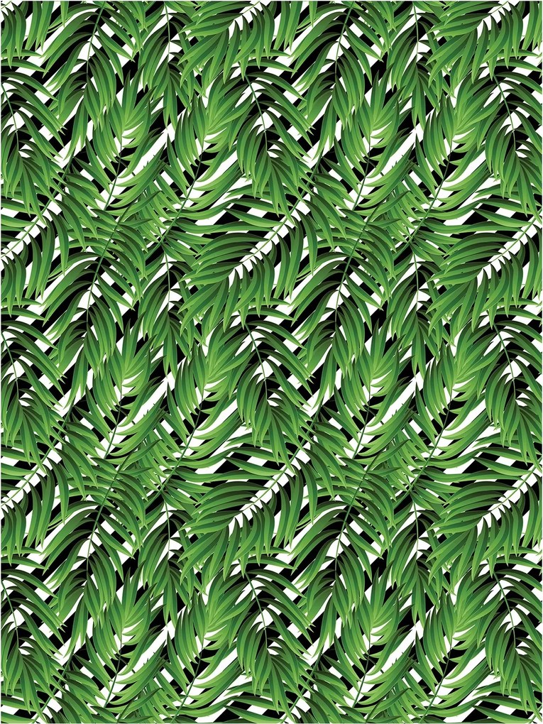 Fotótapéta Pálma és levelek Trópusi minta Relaxáció Egzotika 184x254 +ragasztó