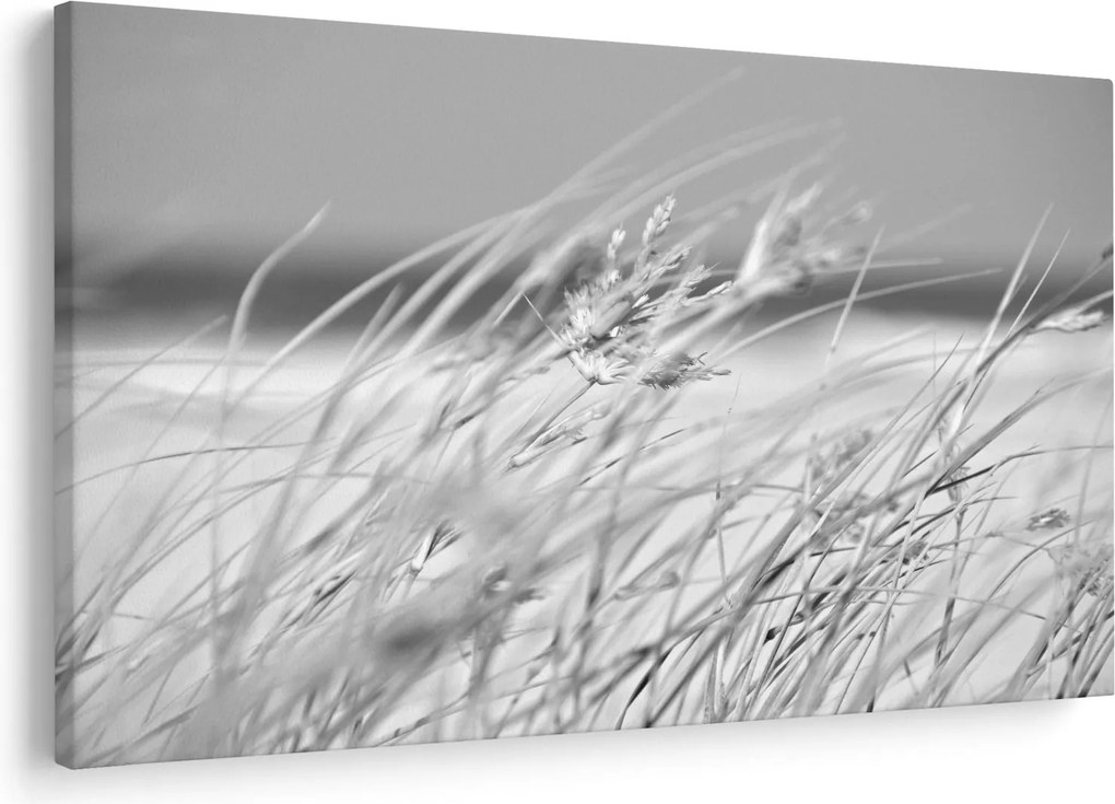 Kép - Strandfű (90x60 cm)