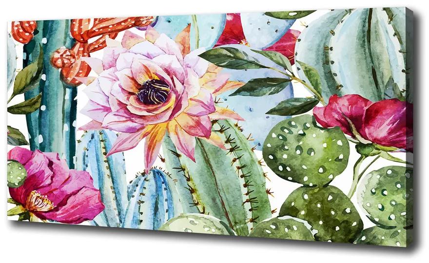 Fali vászonkép Kaktusz és virágok pl-oc-100x50-f-86911786