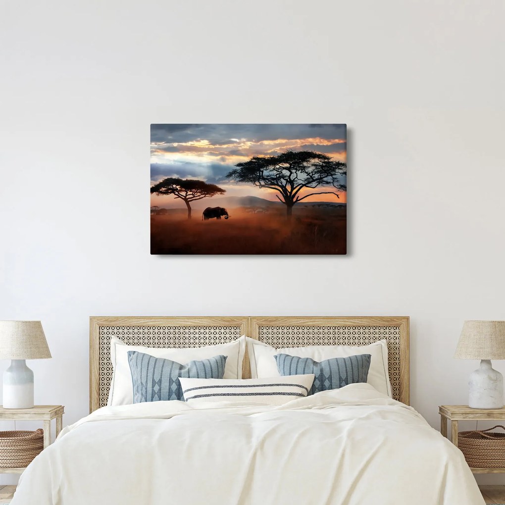 Kép - Serengeti Nemzeti Park, Tanzánia, Afrika (90x60 cm)