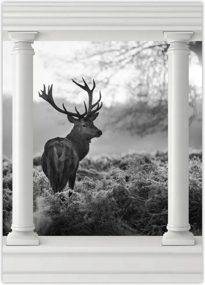 Poszterek 50x70 Szarvas a rikkancson