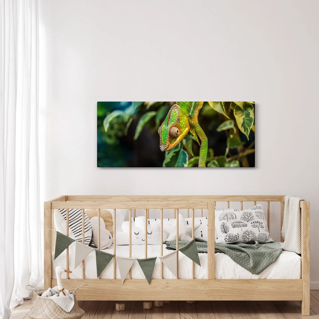 Kaméleon képe (120x50 cm)