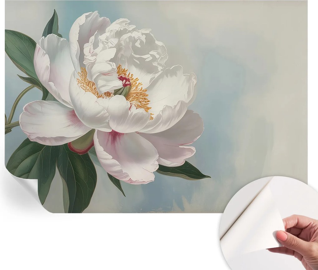 Dekoratív öntapadós fotótapéta Hálószobába Gyönyörű peónia 312x219 cm