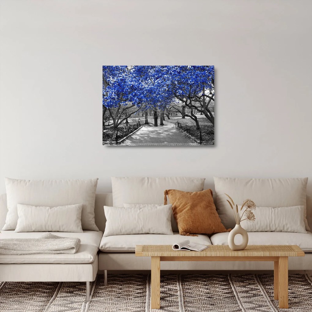 Kép - Kék fák, Central Park, New York (üvegen) (70x50 cm)