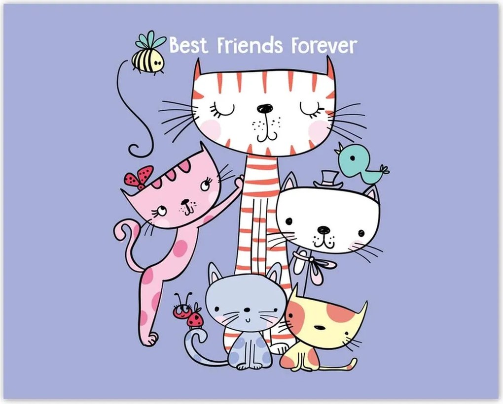 Poszterek 50x40 Cica Cicák Macskák