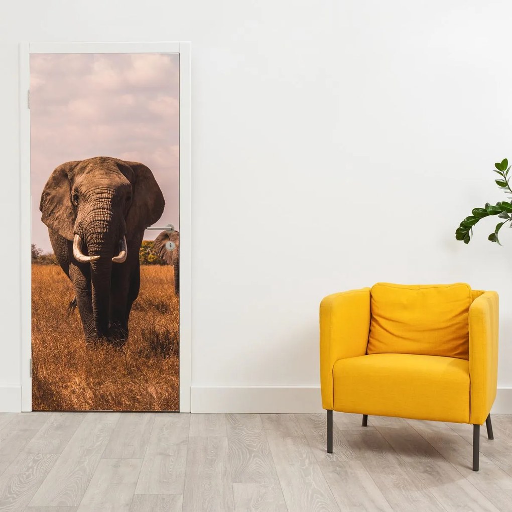 Fotótapéta ajtóra - Az elefánt érkezése (95x205cm)