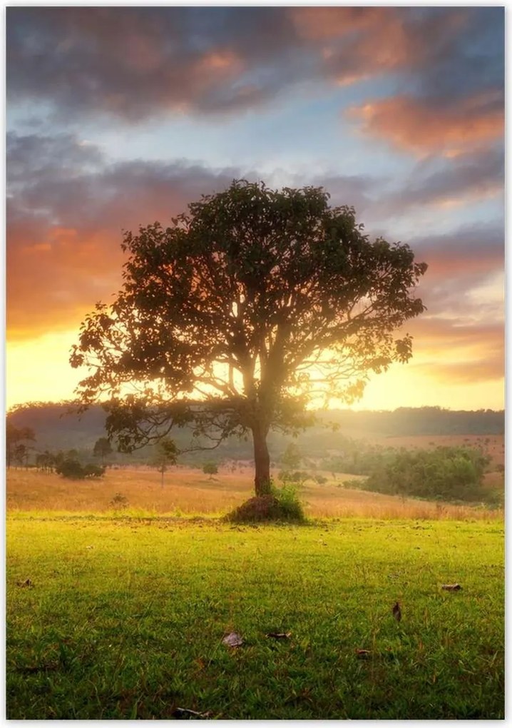 Poszterek 70x100 Varázslatos tájkép