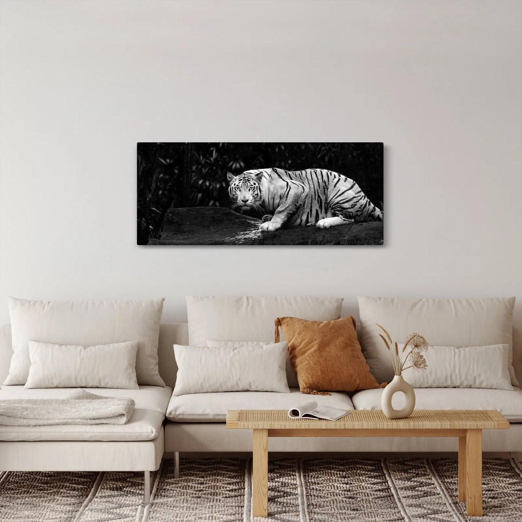 Kép - albínó tigris, fekete-fehér (120x50 cm)
