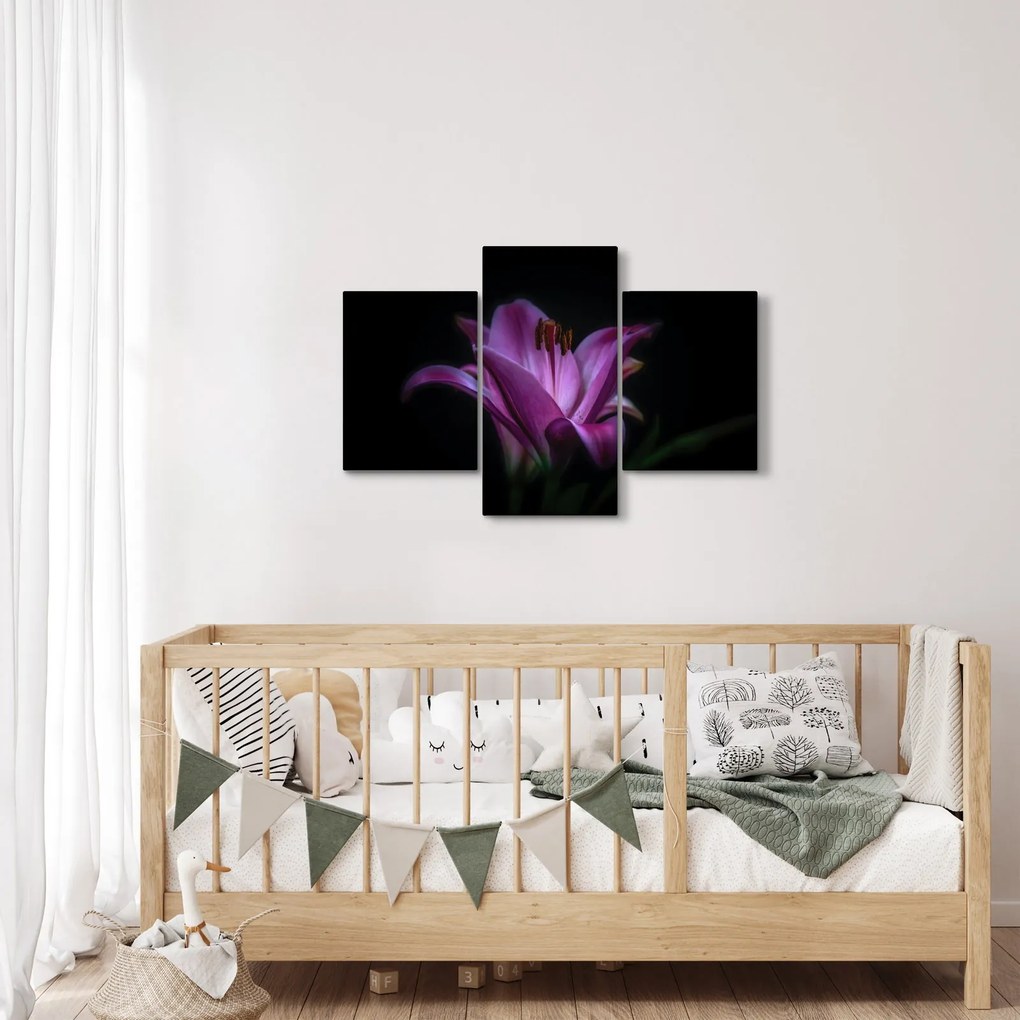 A liliom képe (90x60 cm)