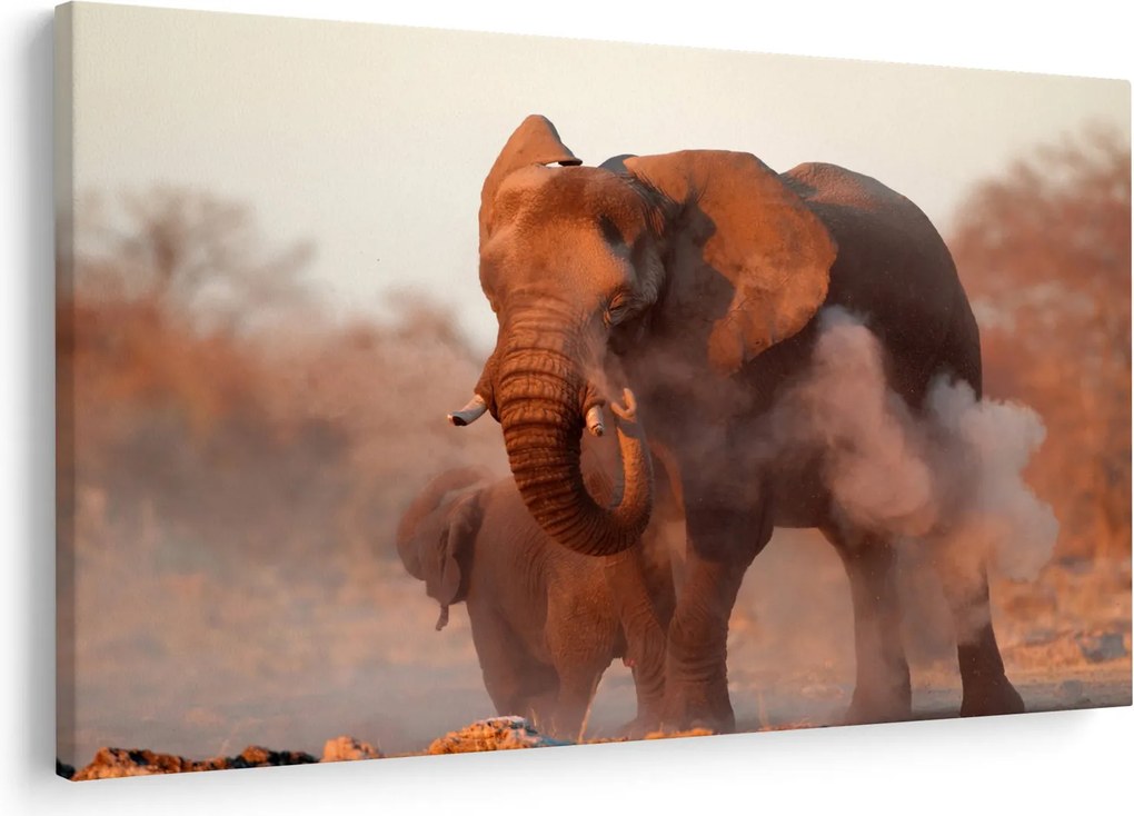 Kép - Nagy afrikai elefánt (90x60 cm)