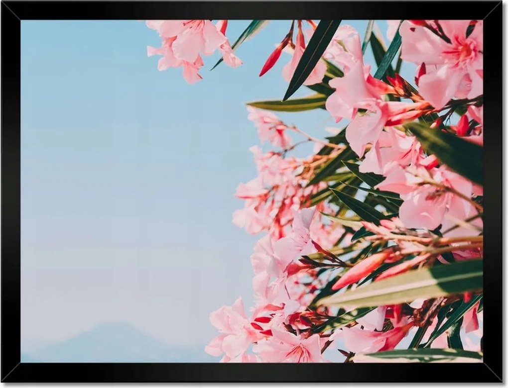 Poszterek keretben 40x30 Virágok