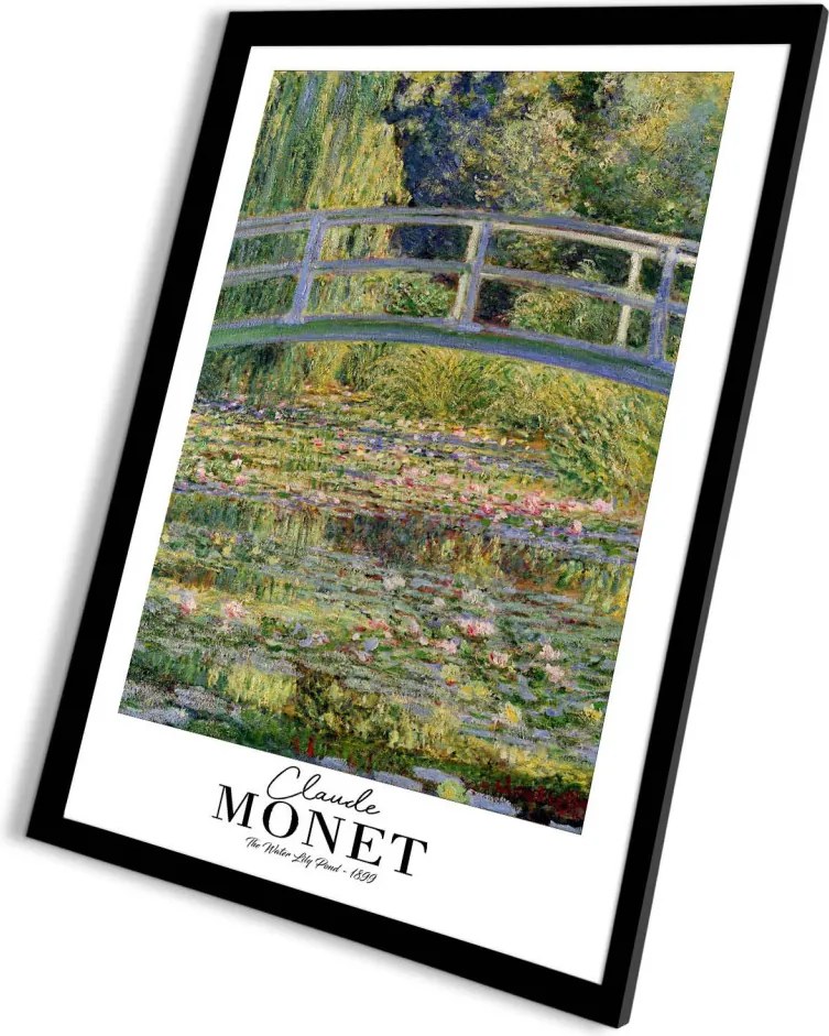 4262SYHMONET-018