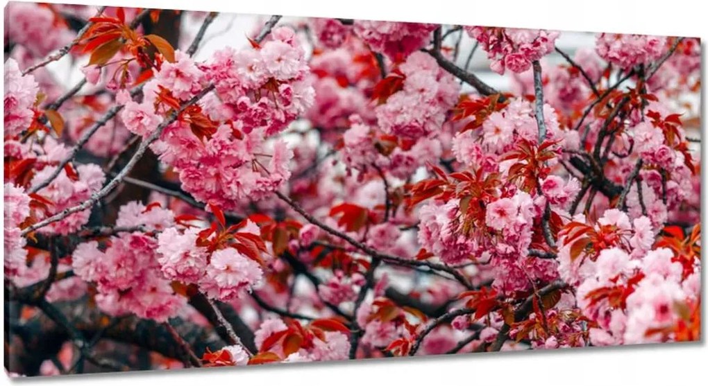 Vászonkép 115x55 Finom virágok Virágok