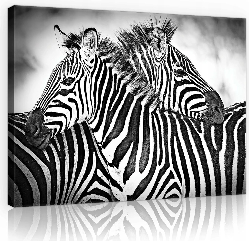 Vászonkép 80x60 Fekete csíkos nyugalom Zebra nappali skandináv stílus